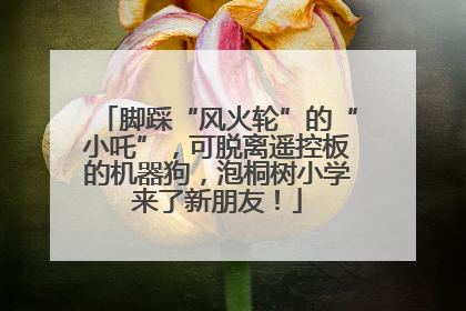 脚踩“风火轮”的“小吒”，可脱离遥控板的机器狗，泡桐树小学来了新朋友！